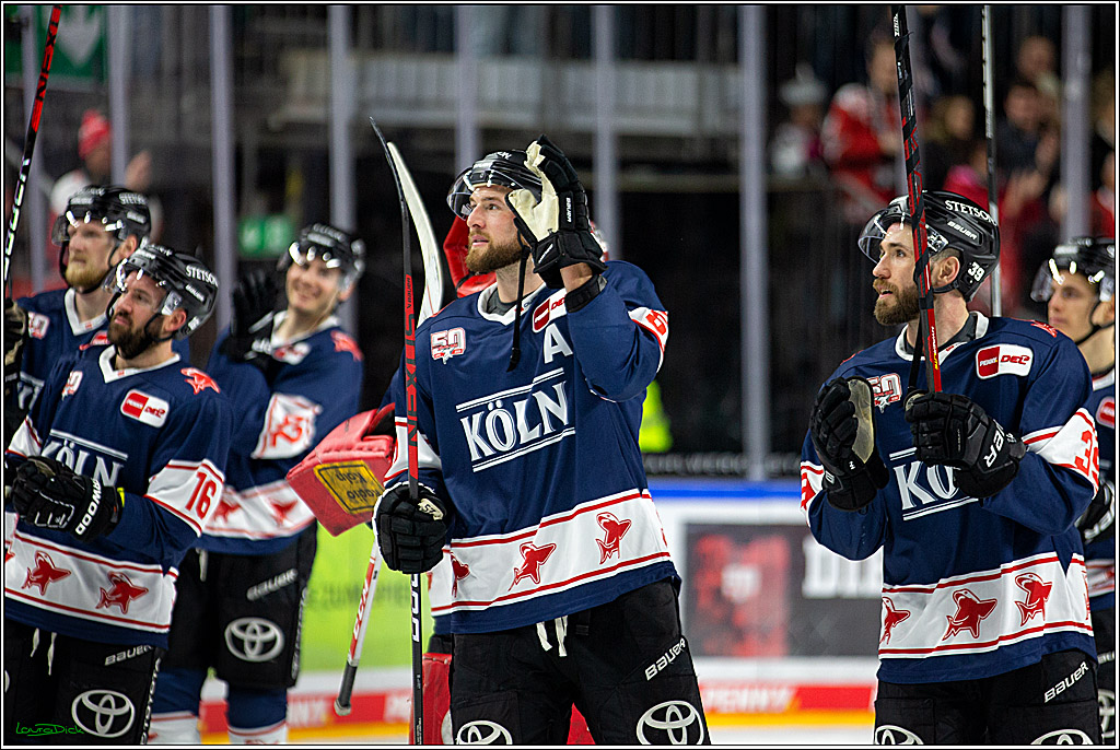 PENNY DEL; Koelner Haie- Nuernberger Ice Tigers; Koeln, 29.01.2023